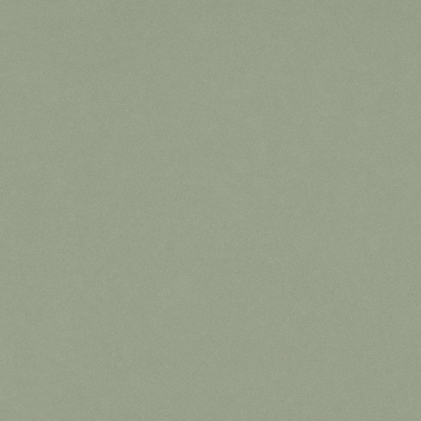 Posidonia Green (Silestone)
