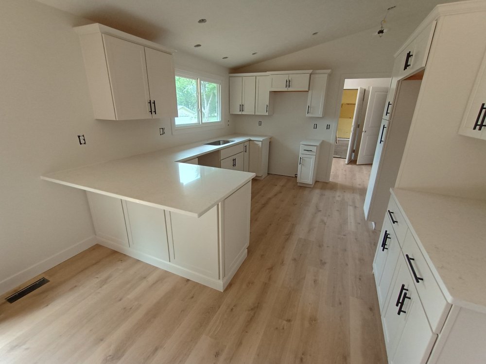 Carrara Trinita Maxwell Project 8-2024