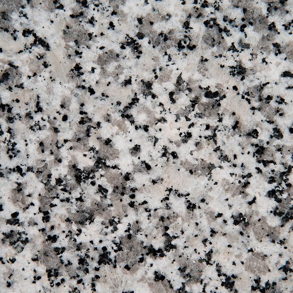 Luna Pearl (Grainte)