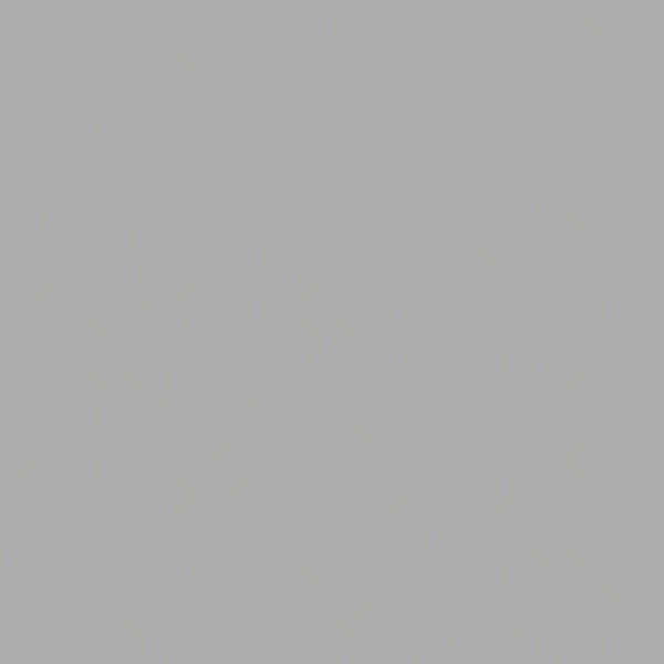 Silver Gray (Solid Surface 2)
